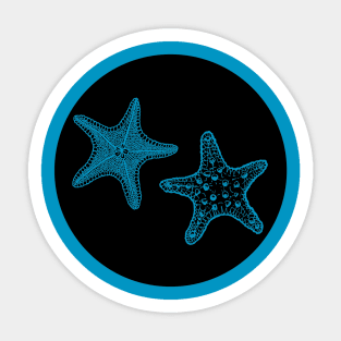 Starfish Sticker